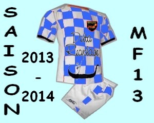 EXCLUSIVITE Saison 2013-14 : Changement de nom et de couleurs pour Martigues !