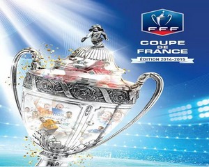 FC Martigues, Coupe de France 2014-2015