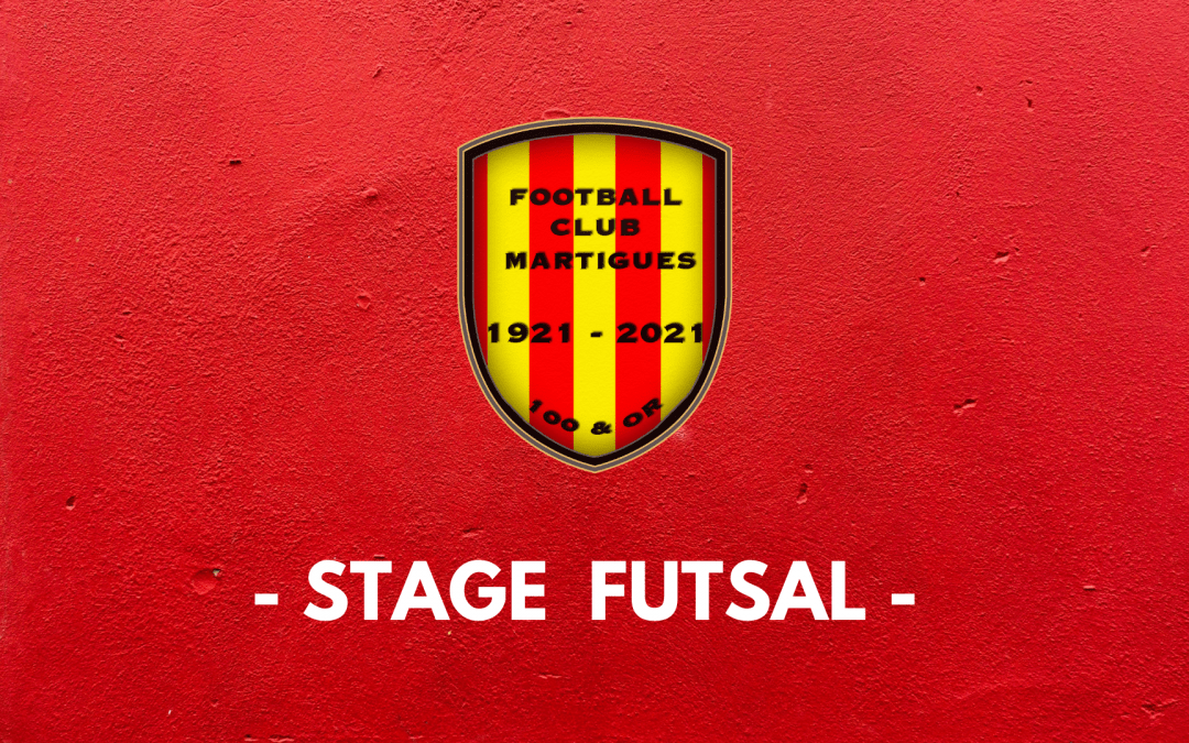 Stage de Futsal au FC Martigues